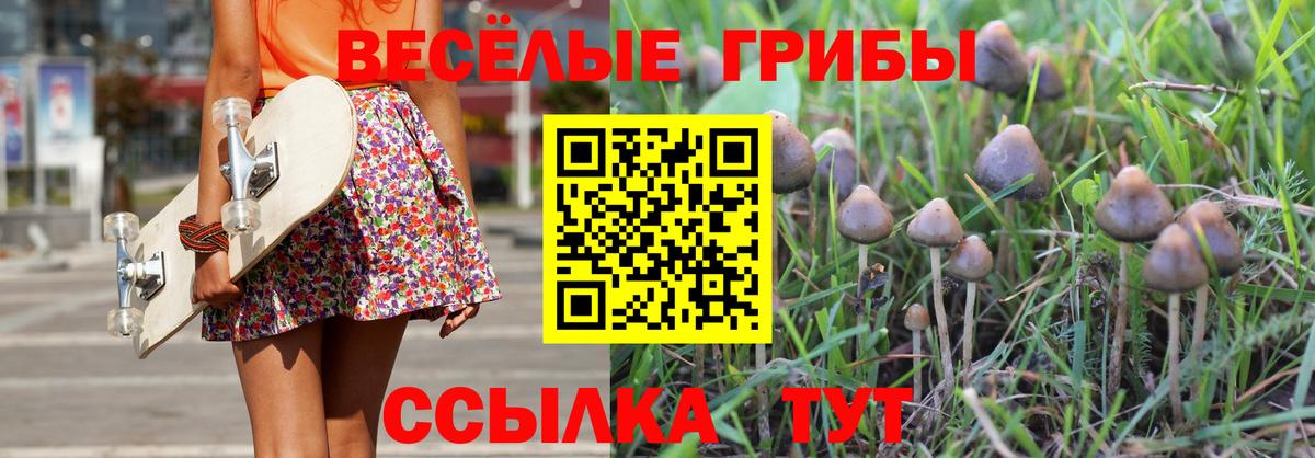 Галлюциногенные грибы мицелий Унеча